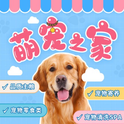 白朗萌宠之家小程序开发